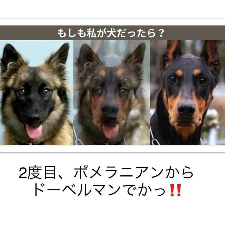 Ec2ae647 594d 473c 8ead c7425c5488b2 1528982205962