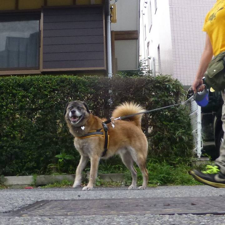 Ec2af80d 115e 42f0 8ce9 f172ce118463 1580123033250