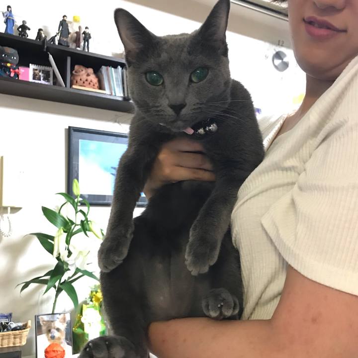 Ec2afc43 67e0 412b a08a f0732d04cebd 1565097631643