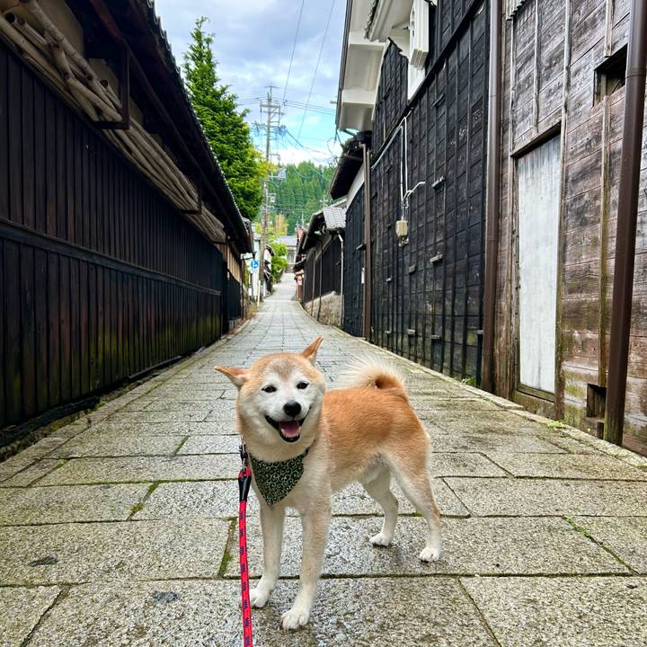 Ec2b0be0 746f 42a7 a631 eb4c2f2580b8 1750929921833