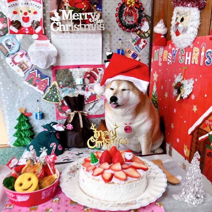 Ec2b1222 8b5f 43c5 83e7 640215964552 1703378477600