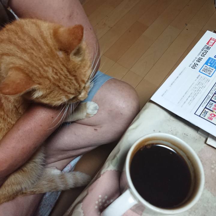 Ec2b3397 8a2d 49ec 8713 3d2d357908ce 1598213802455