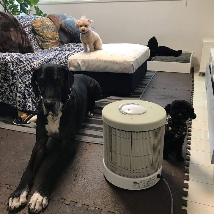 Ec2b53e0 0d01 4eb3 bca9 647b70b8b54c 1516315691874