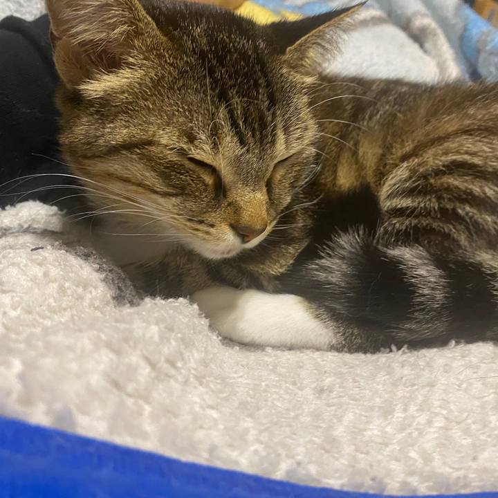 Ec2b730a 2264 42a0 9a06 a3bd715ec056 1603799134734