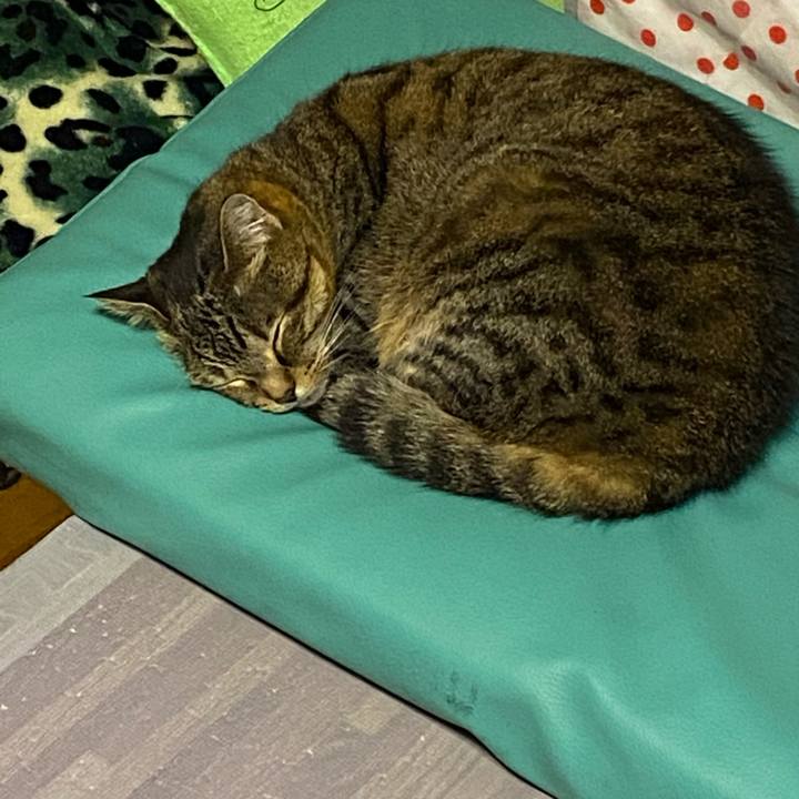 Ec2b8b36 cf70 4e4b 878a 87a61288ba40 1616777666928