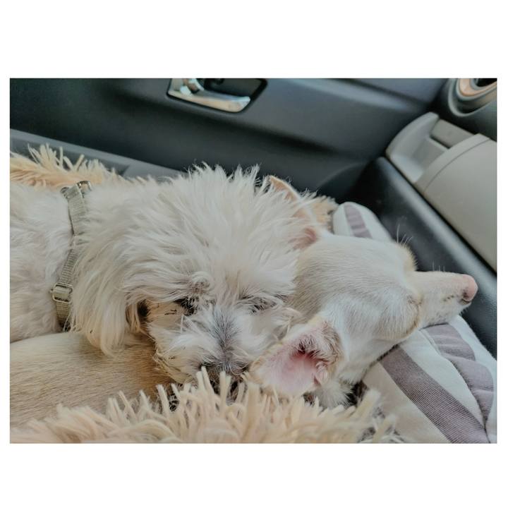 Ec2c0f3e edb0 4555 936b 0c1cc0b69ce8 1727092337341