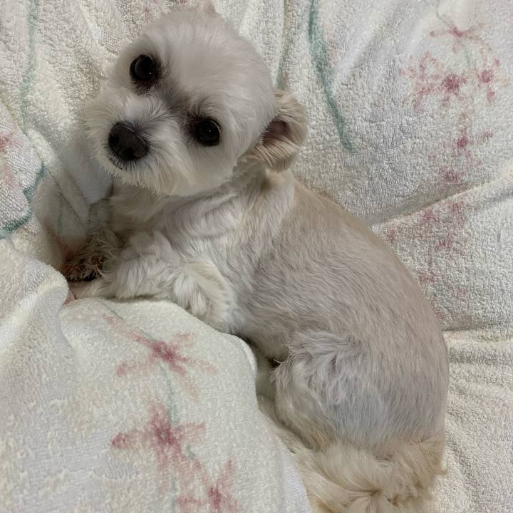 Ec2c5271 3799 4894 92ec 9e9a382923aa 1602584764989