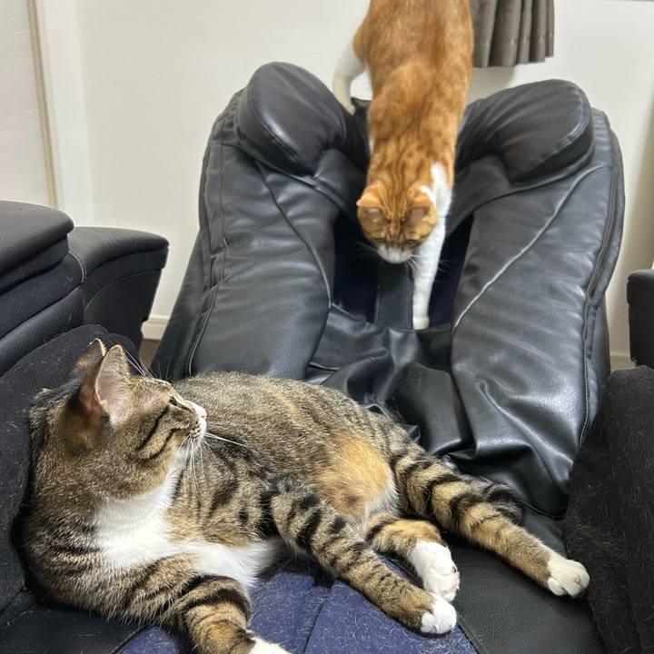 Ec2c8864 0290 4423 b6c5 cf20a362a1ac 1758938801593