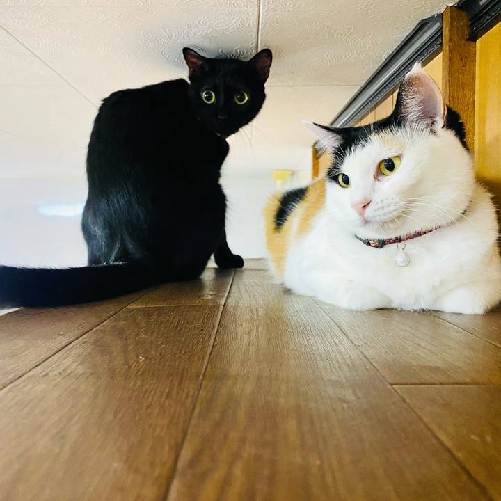 Ec2c8b61 ce32 4609 89a3 577eea5e5ce0 1663940139967