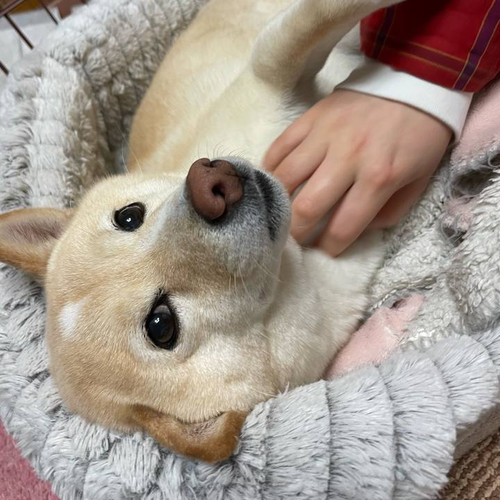 Ec2cbf8b 44f2 4b0a ba42 b6860c5e87fd 1705878065274