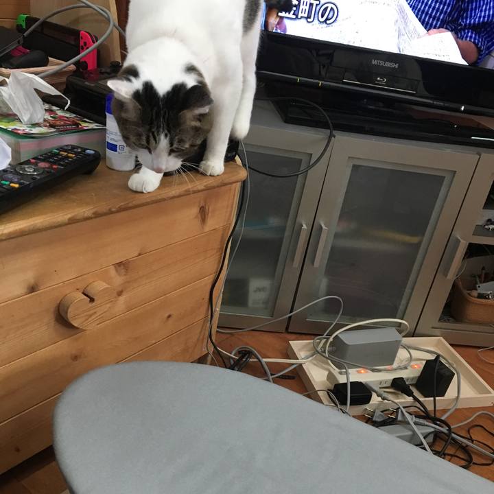 Ec2ce67e 9a3e 4add 8424 0c6a4cfc21b5 1508028039857