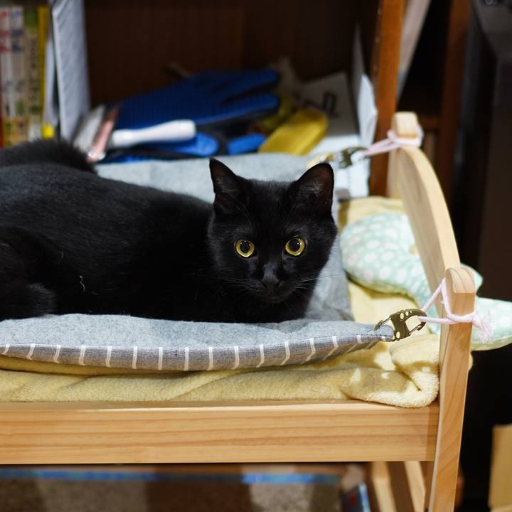 Ec2d110b c9e8 4672 b21f 48cb662c85c9 1568798552197