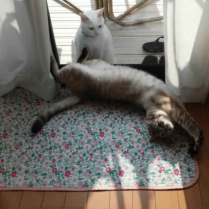 Ec2d1201 10ce 4619 88a7 6bf4c99877c5 1516329857634