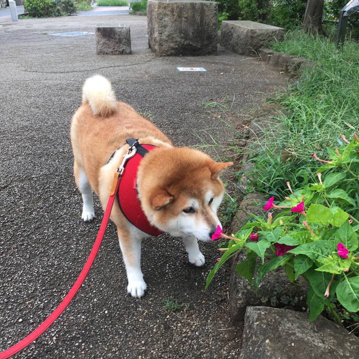 Ec2d9152 10a5 4d25 9ada c1e0ed6e457a 1599871107619