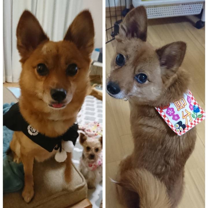 Ec2dc439 0803 4f06 ba7f f6d723c1dd91 1549188616025