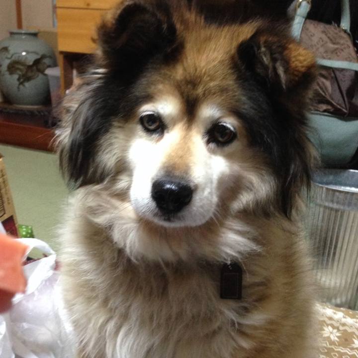 Ec2df699 2399 4918 b7ce f3691eeed821 1601858051272