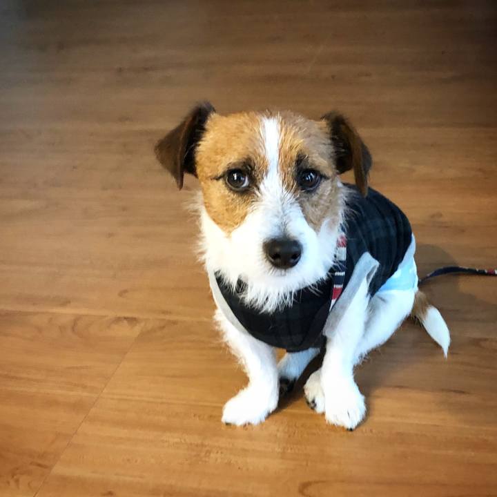 Ec2dfa4b b842 4da0 bec6 f8f187191e9c 1511610941477