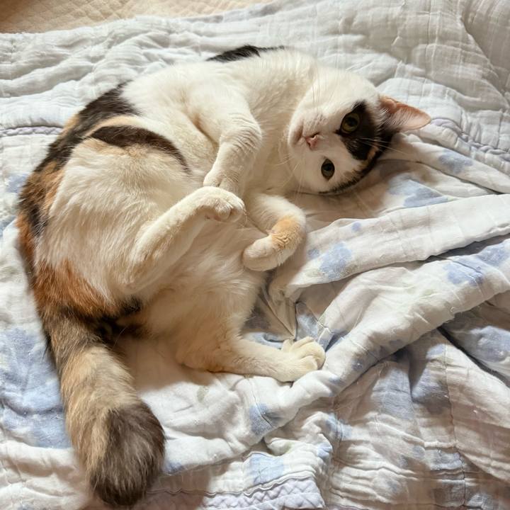 Ec2e334b 63d9 4717 becb 7106916cb8e5 1750212429387