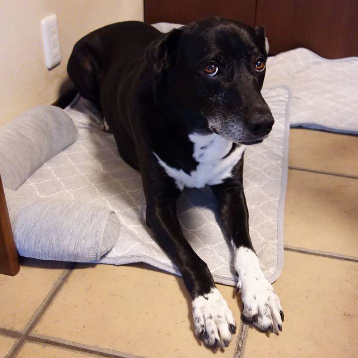 Ec2e3acc 74b9 4b4e a7f4 0434e8a824f8 1716981024282