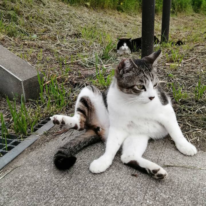 Ec2e5674 046b 4e67 9dff fea5f52e9170 1620778341130