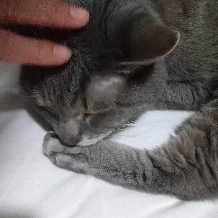 Ec2e5ae4 756d 4d9a 8dfe e5dc8779326a 1672177372094