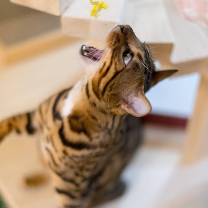 Ec2ea7cb 0f0f 4488 88d3 caf5e9c36ae4 1520784964034