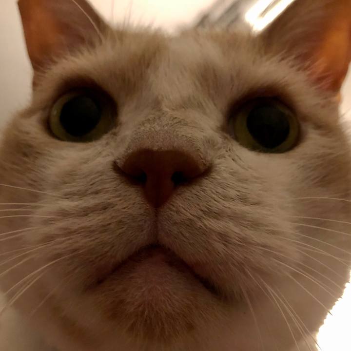 Ec2eb6e0 3de8 4801 9c46 50944045b061 1630755314933