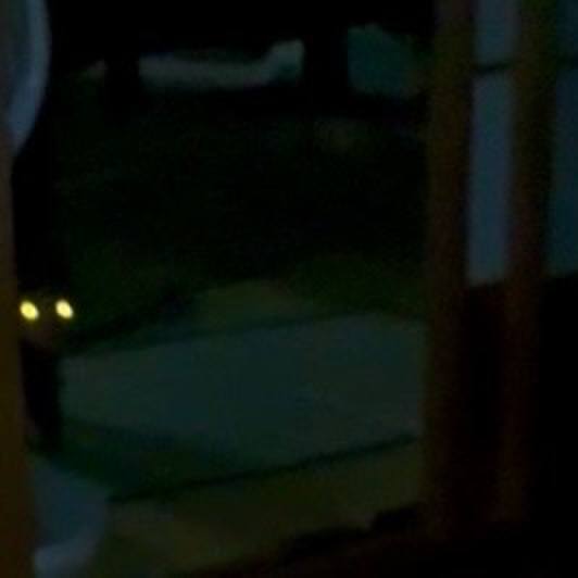 Ec2ef2c5 cc09 42ca b411 cfd2492fae68 1753042978866