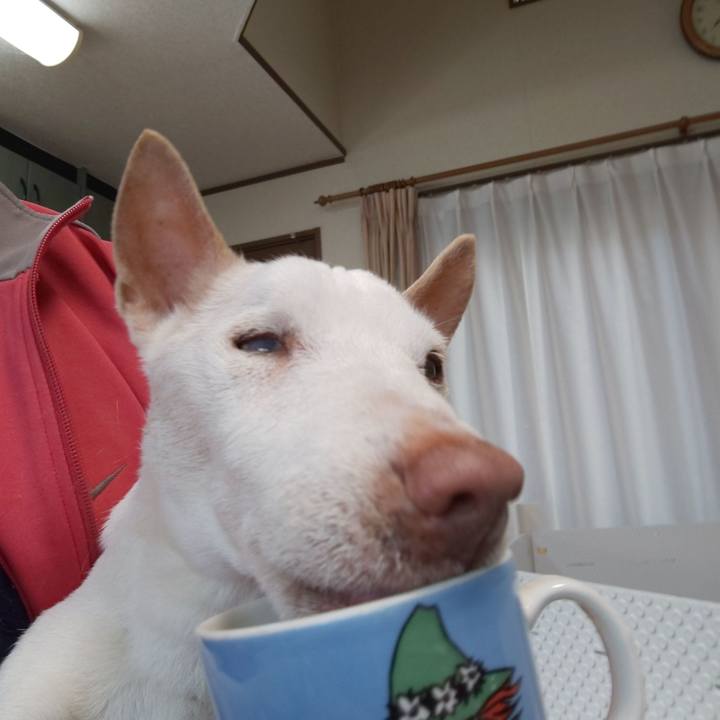 Ec2ef93d 3ae9 4865 b21d e6d0008ce033 1558912038745