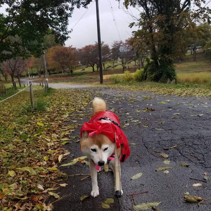 Ec2effbf 8f3b 4e96 a16d 379257f51a41 1667281358477