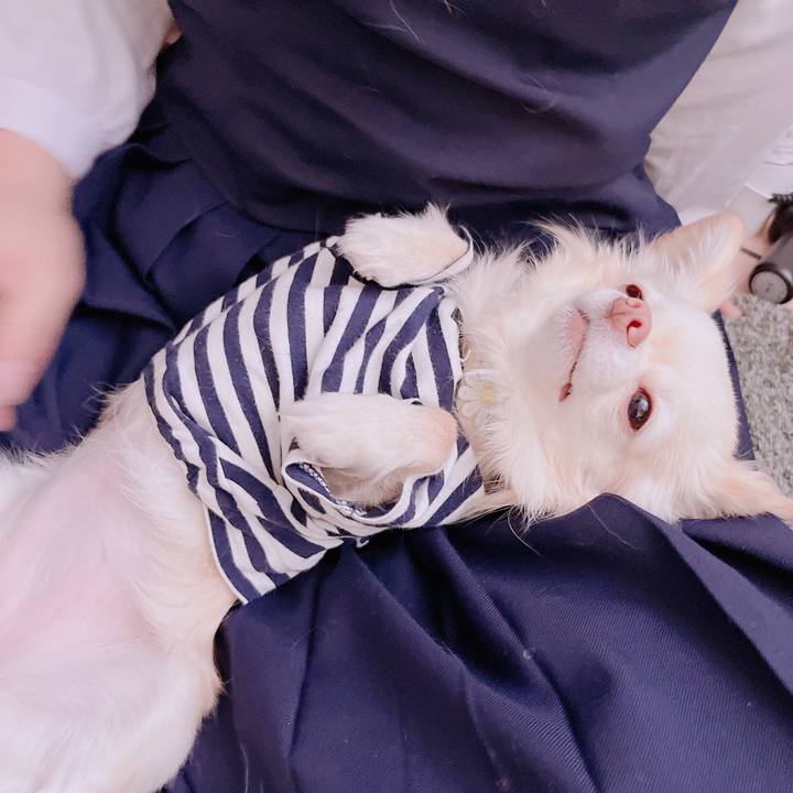 Ec2f00ef 33f3 40e6 a88c b6c1d1875ae7 1682321468537