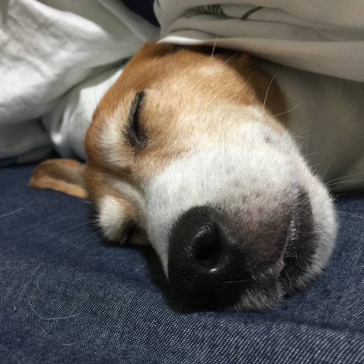 Ec2f0e96 0cde 4410 9b7e 32493c45413d 1528809307373