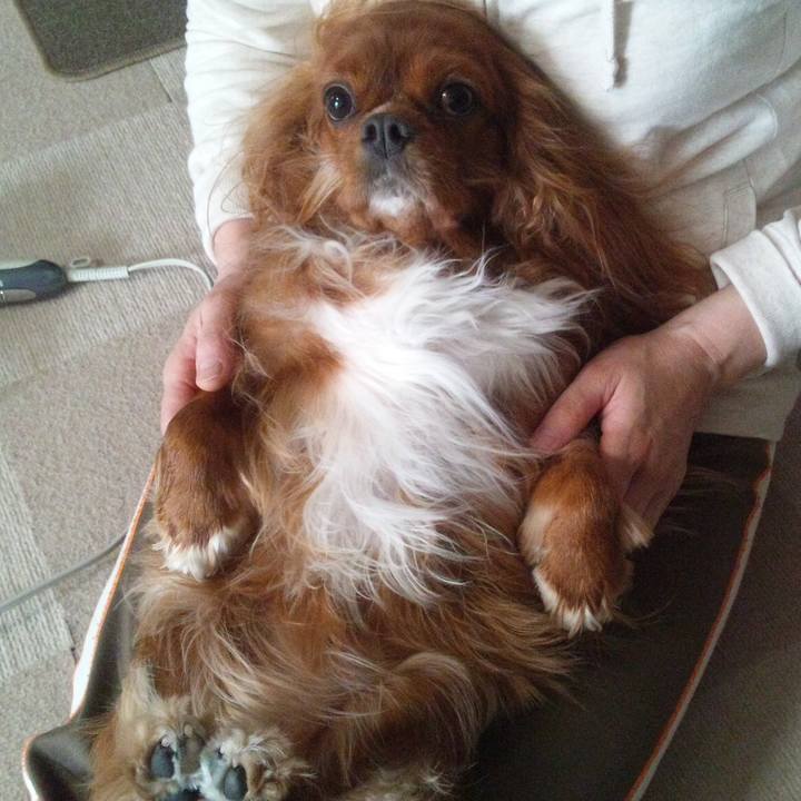 Ec2f38f3 8159 4b0b b047 36826cf36af0 1537827439643