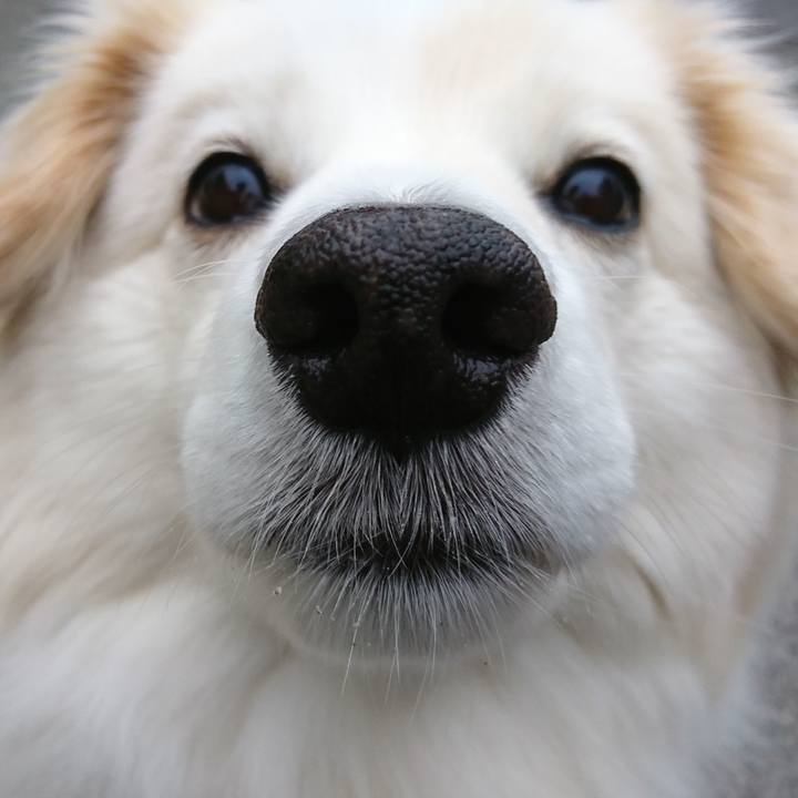 Ec2f5bde ef08 442f 82db b804ed890446 1524433997407