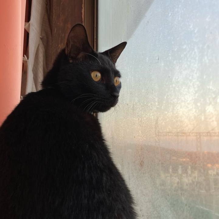 Ec2f9c17 07cd 4370 9894 6e40451ad1ee 1640769766575