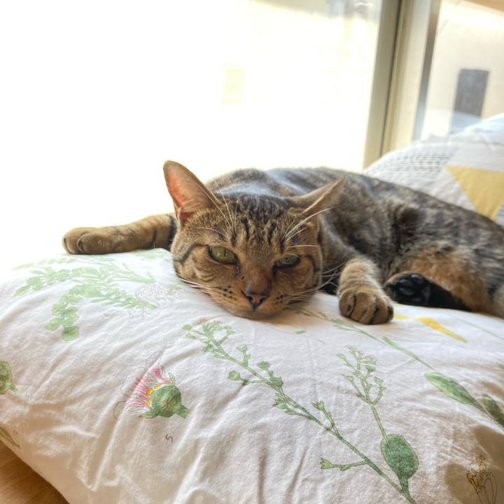 Ec2fd09e 8ee0 4c3b 861b eb412896af8d 1691209885391