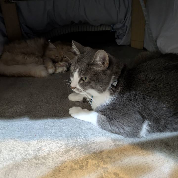 Ec2fd1b4 0398 4ab8 ab5d 79c5c60920c9 1765671317412