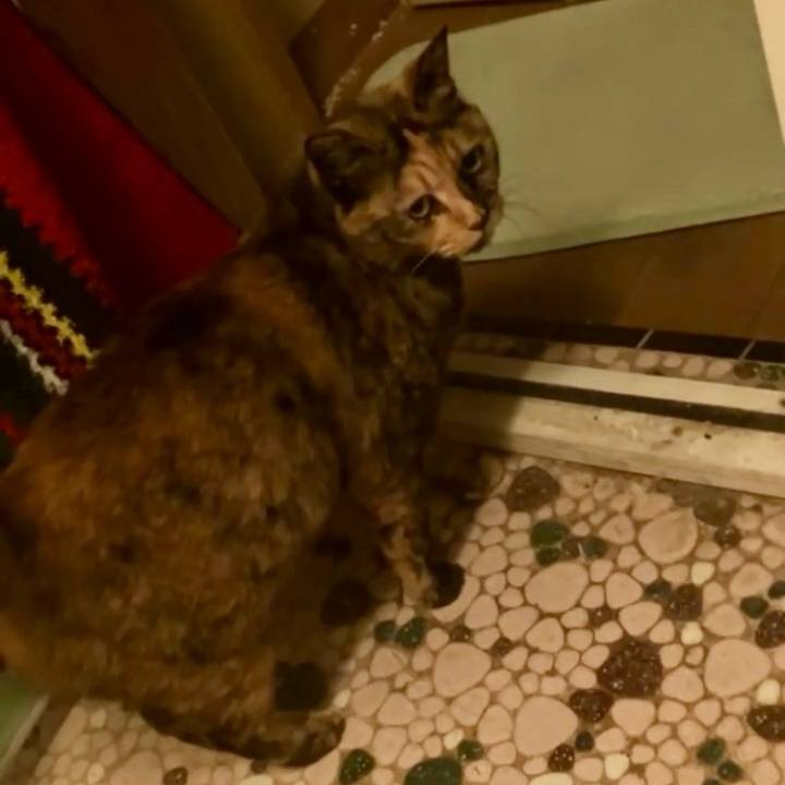 Ec2fe3c1 bb69 420c 8046 53b00eaa9cb2 1736454687491