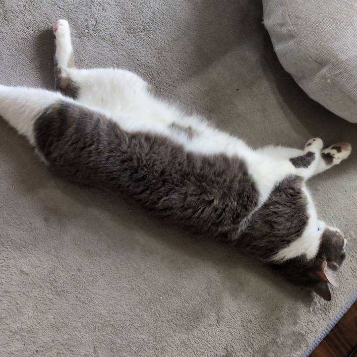 Ec2fec73 8fab 4035 a8f0 980fb0173ad1 1749713830663