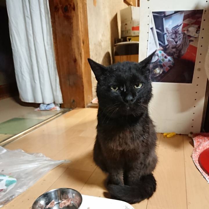 Ec2ff1fe b739 467c b1d7 eb424ced7af1 1624103452436