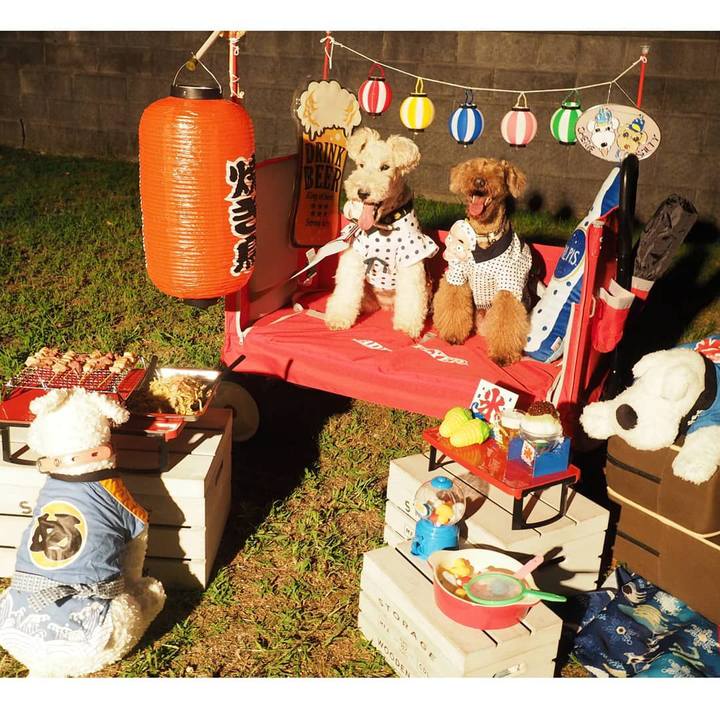 Ec3040e5 26aa 4b75 aef5 e43c08f16a2b 1598711136299