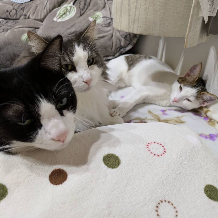 Ec30eaaf a11d 426b ace7 6f22af9c1a3f 1771506241393