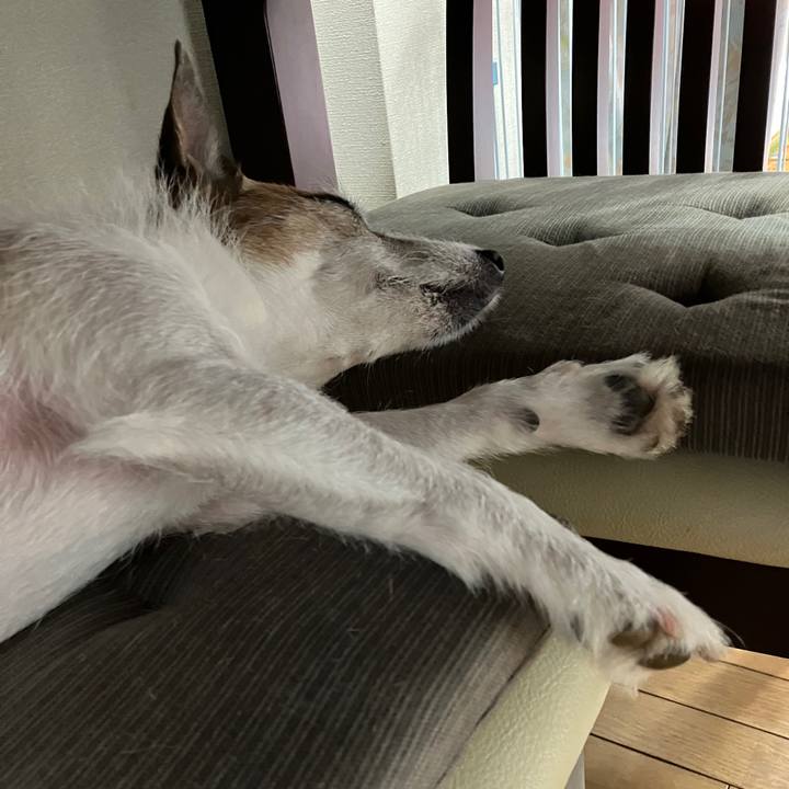 Ec31031f 7ca4 459f a4fc d9b0bc5dbe4e 1694826397740