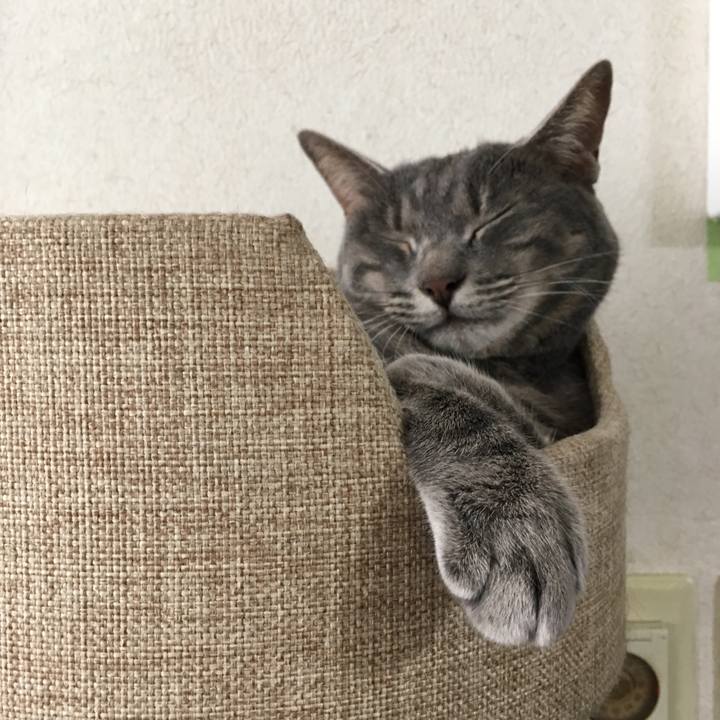 Ec31361c 0a7a 4e97 bb1c 1927447e550a 1566010586640