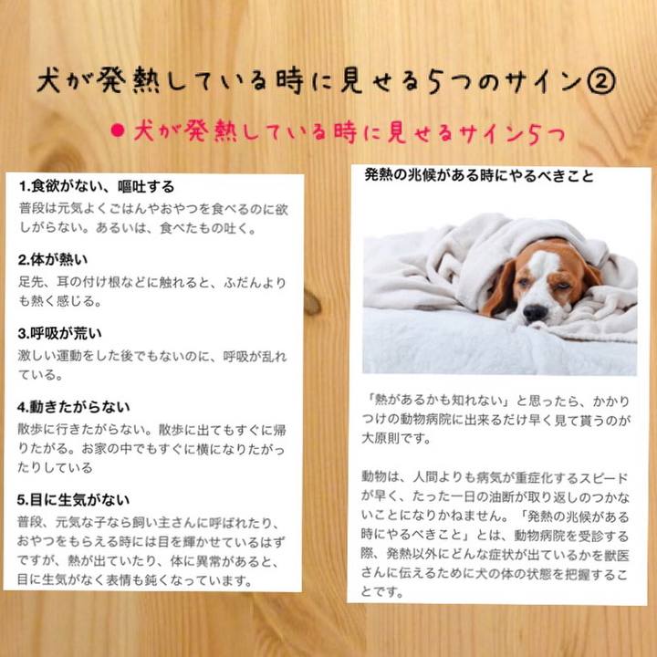 Ec313d5d 87b1 4423 b4cf e2bad08579df 1525830269476