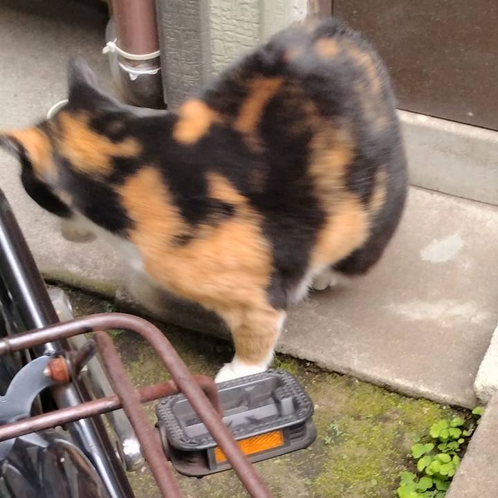 Ec315091 e32a 49e2 b42b 01dc940b722a 1701732348385