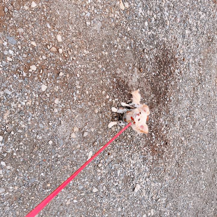 Ec3167e1 d4ce 466a 8200 38d33b972841 1655291234081