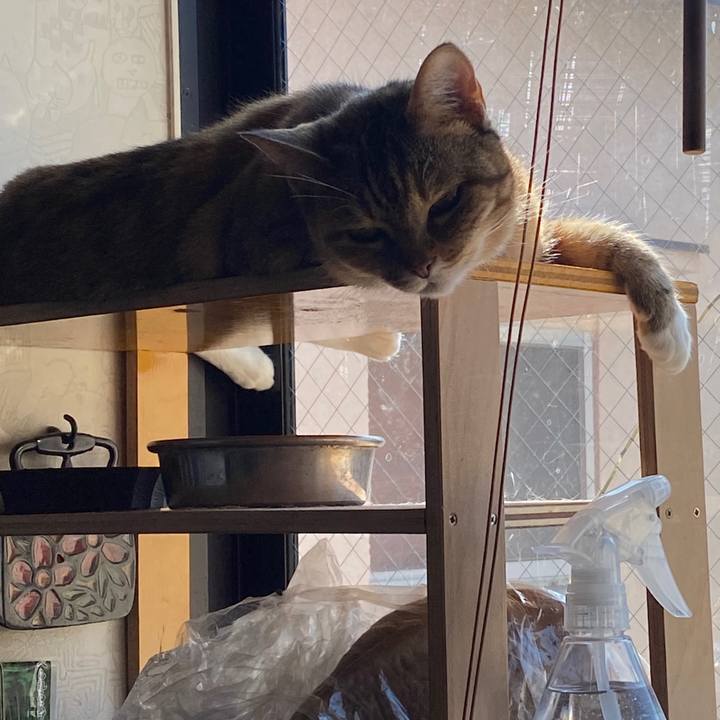 Ec31b084 14f9 48ba 8c22 63523fc0e342 1586392263711