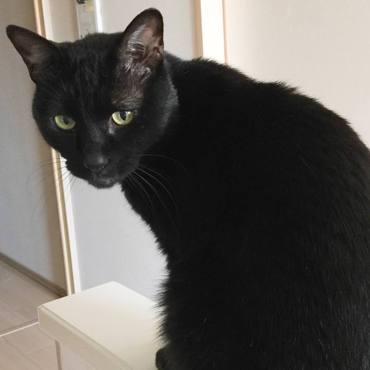 Ec31ba76 fad5 4438 87b9 b5b3e7ccbff7 1585975957737