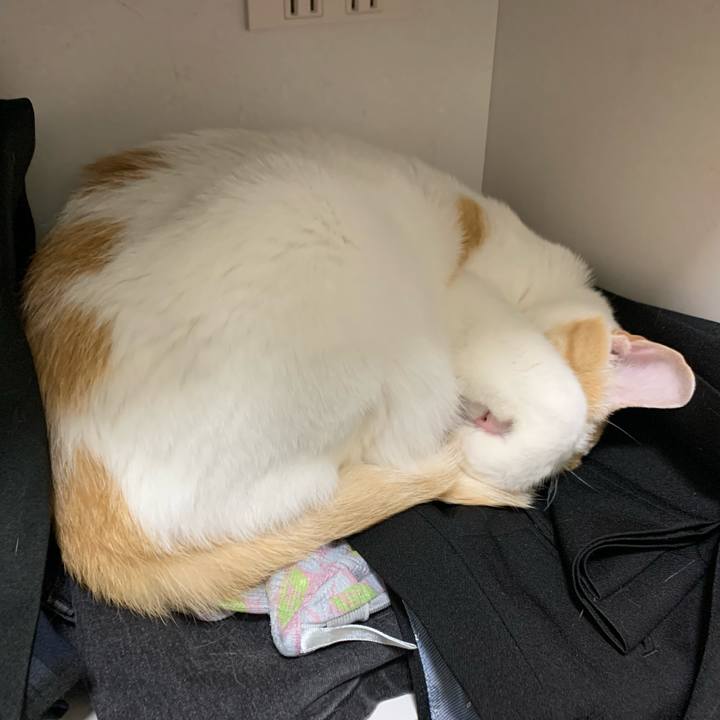 Ec31daca 7256 4651 ab25 abb729818ed1 1587645442088